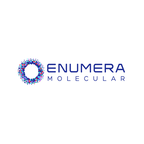 Enumera Molecular